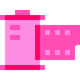 Camera film icon