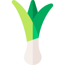 grüne zwiebel icon