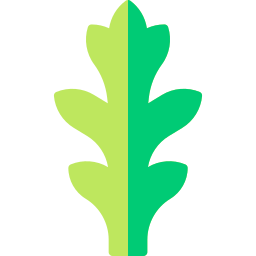 Arugula icon