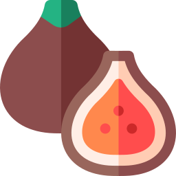 Figs icon