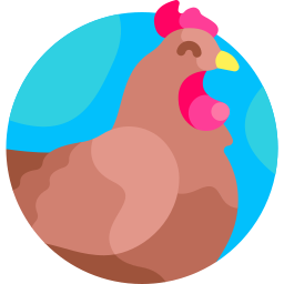 Chicken icon