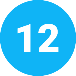 12 icon