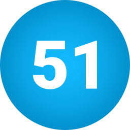 51 icon