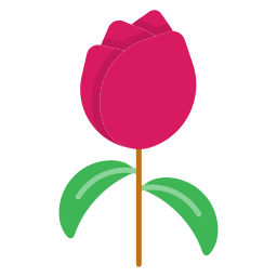 rote rose icon