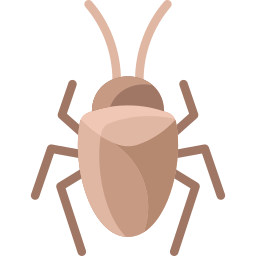 cucaracha icono