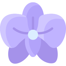 orchidea ikona