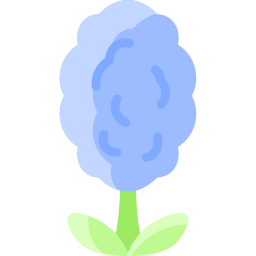 Hyacinth icon