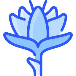 krokus icon
