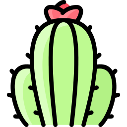 cactus icoon