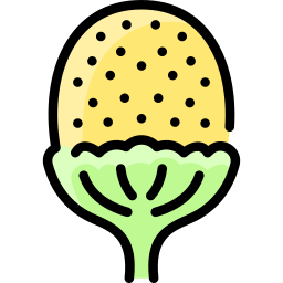 piña icono