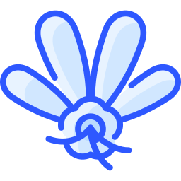 Coriander icon