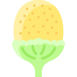 Pineappleweed icon