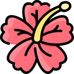 Hibiscus icon