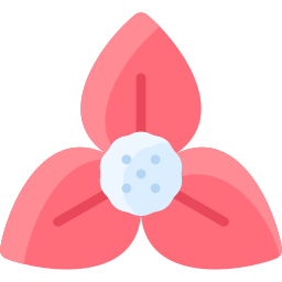 ブーゲンビリア icon