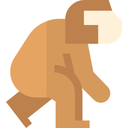 australopithecus icon