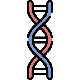 Dna strand icon