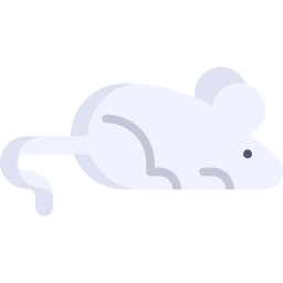 maus icon