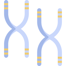 cromossoma Ícone