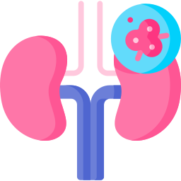 Kidney icon