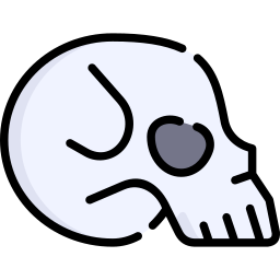 Skull icon