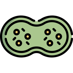 Mitosis icon