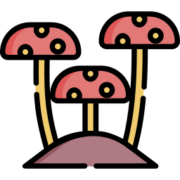 fungos Ícone