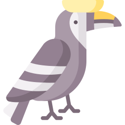 hornbill Ícone