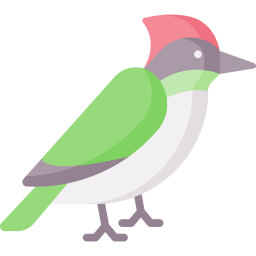 pájaro carpintero icono