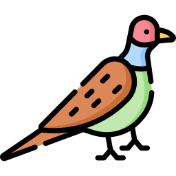 fazant icoon