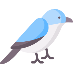 Swallow icon