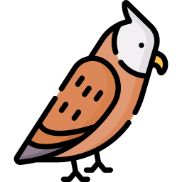 Owl icon