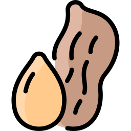 cacahuète Icône
