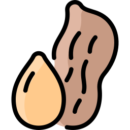 Peanut icon