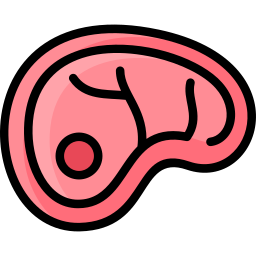 Steak icon