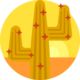 cactus icoon