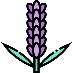 Lavender icon
