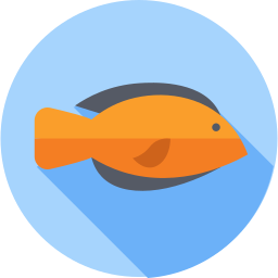 Fish icon