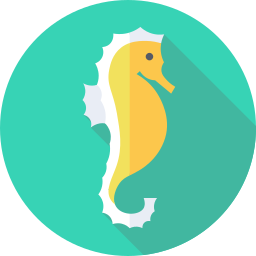Sea horse icon