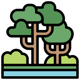 Rainforest icon