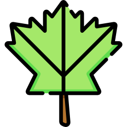 Кленовый лист иконка