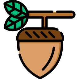 Acorn icon