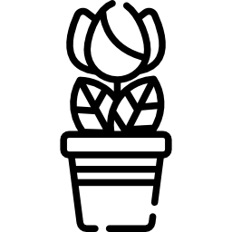 チューリップ icon