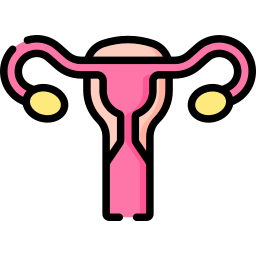 ovarios icono