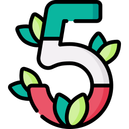 cinco de mayo icona