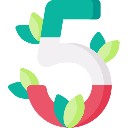 Cinco de mayo icon
