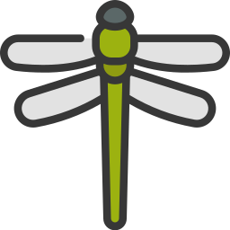 Dragon fly icon