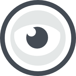 sina icon