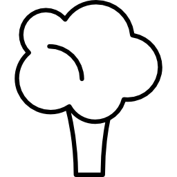 브로콜리 icon