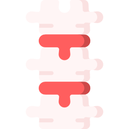 Spine icon