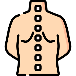coluna vertebral Ícone